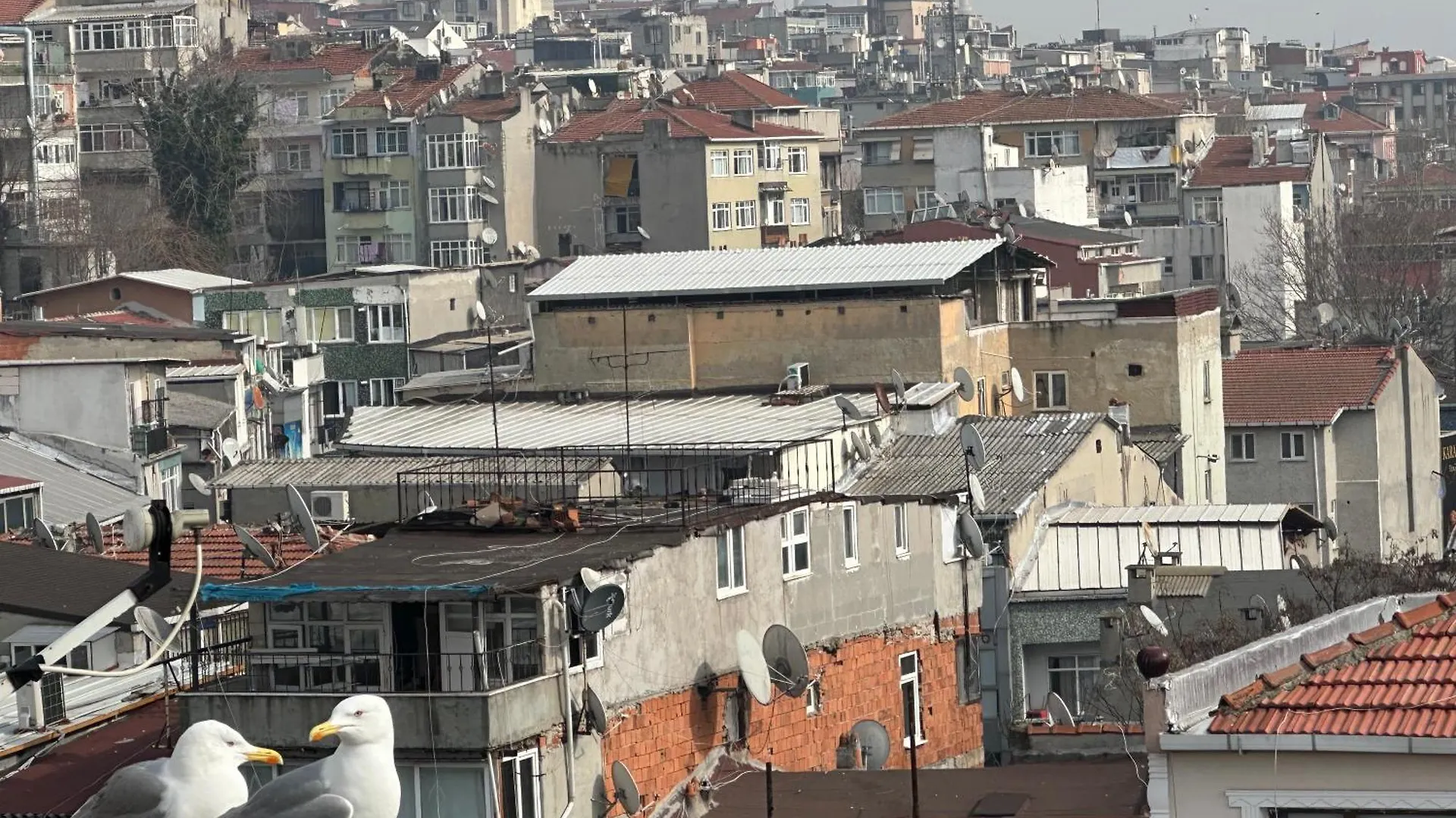 Fatih Merkezi Lokasyon Guzel Teras Manzarasi Istanbulská provincie 0*,  Turecko